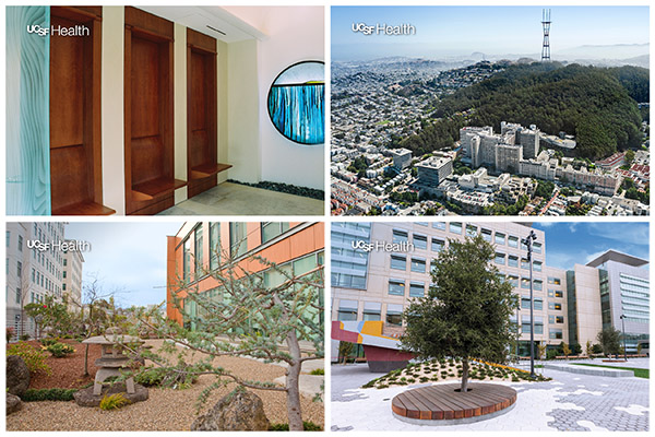 Collage of UCSF Health Zoom backgrounds